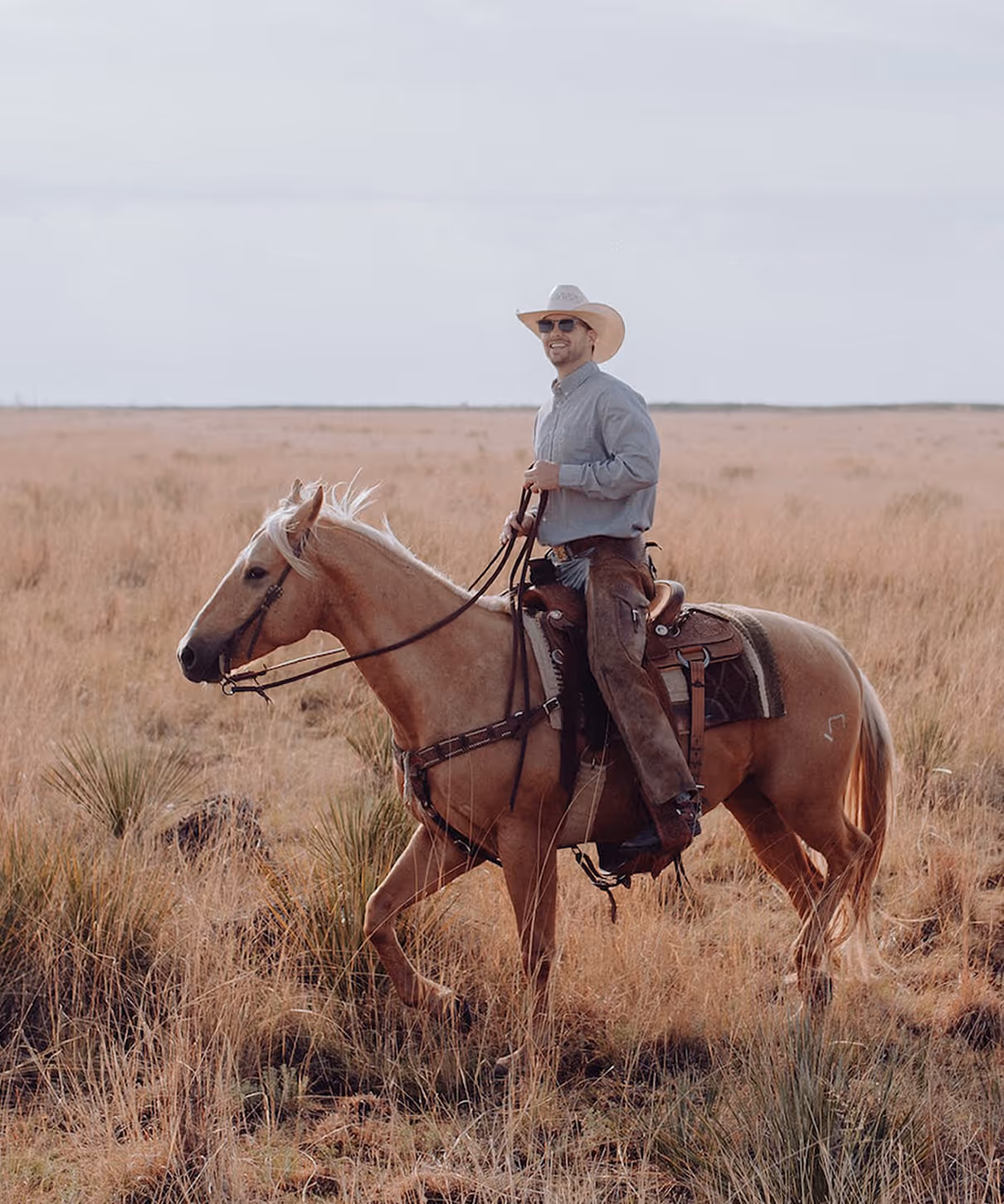 A man riding a horse in a meadow.