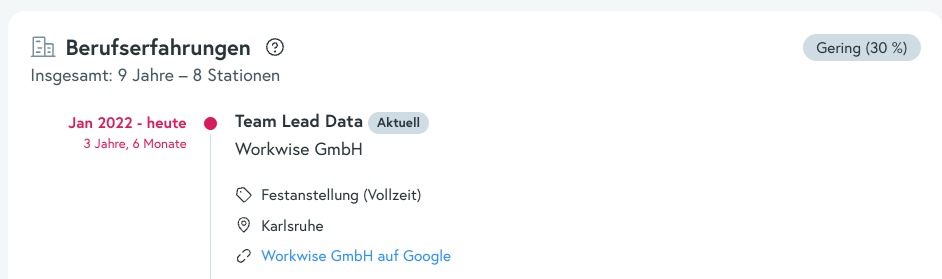 Screenshot des Berufserfahrung Scores, wie er auf der Workwise-Plattform angezeigt wird. 