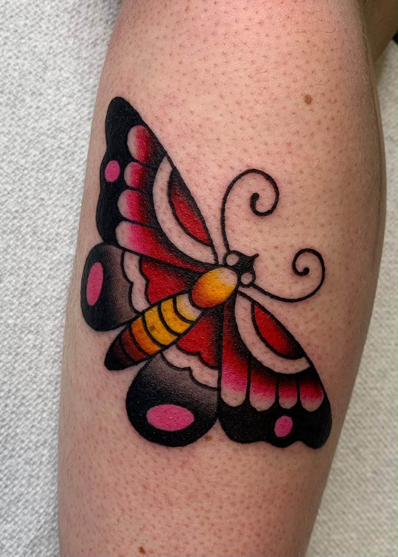 Traditional color moth tattoo