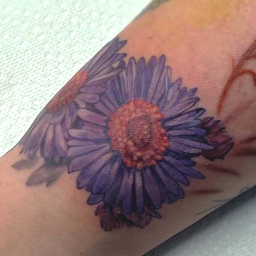 Purple aster flowers color tattoo