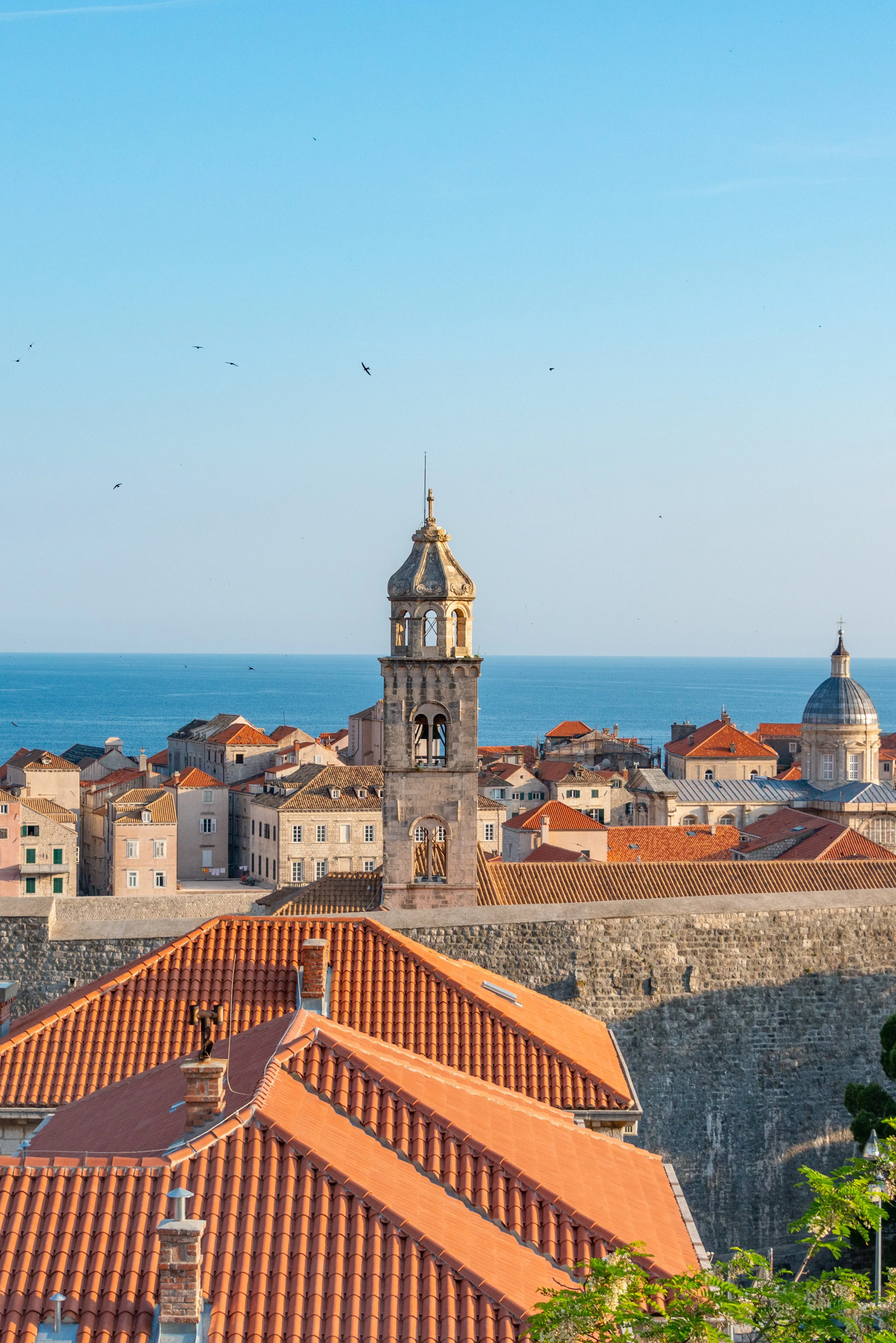 Dubrovnik's rooftop skyline with a tower in the center.