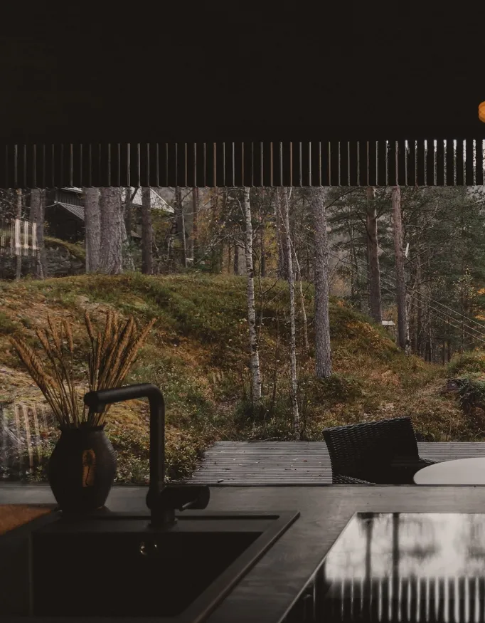 Kitchen of a suite at the Juvet Landscape Hotel while viewing the forest.