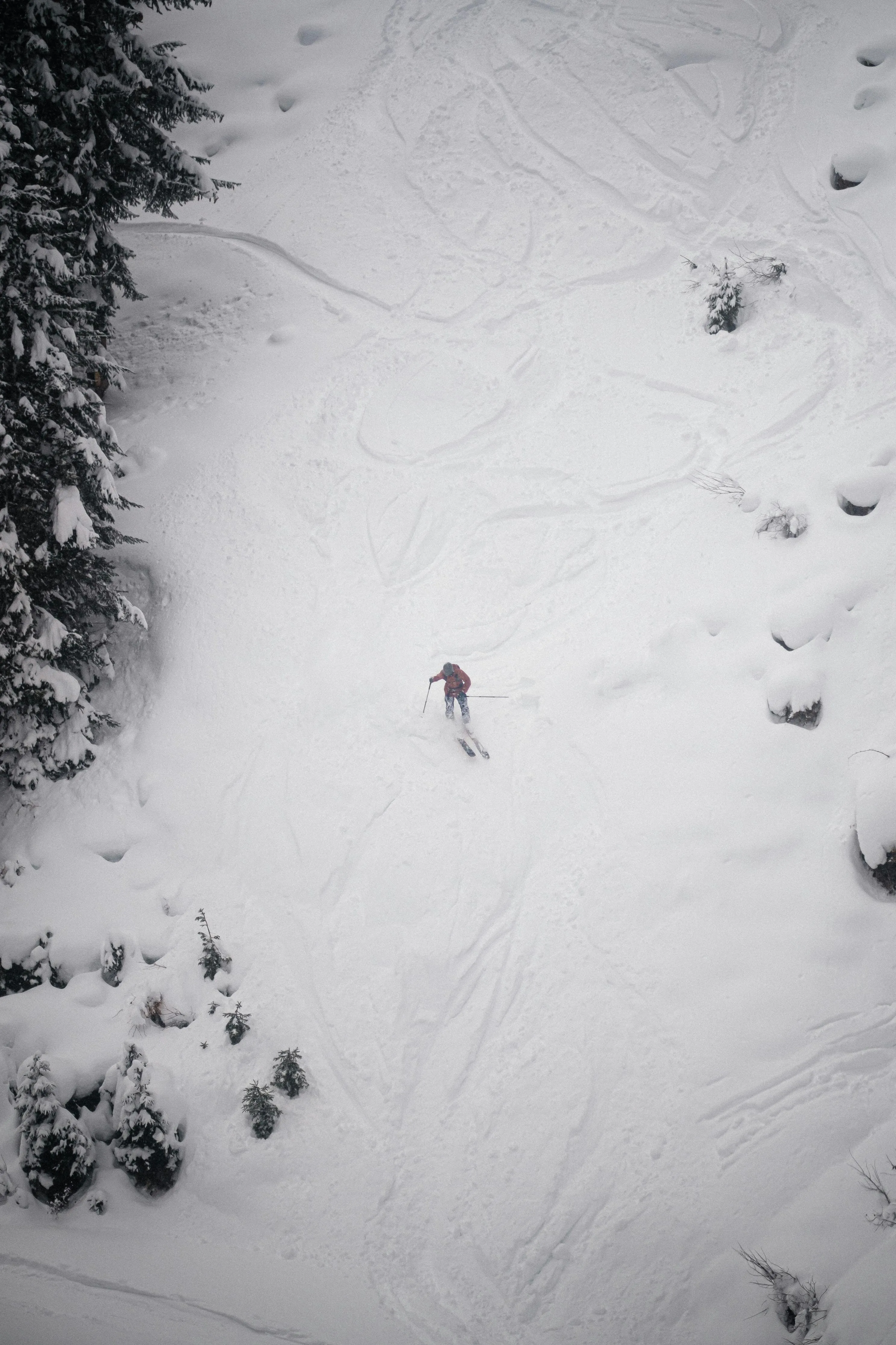 A skier skiing down through powder snow between the trees.