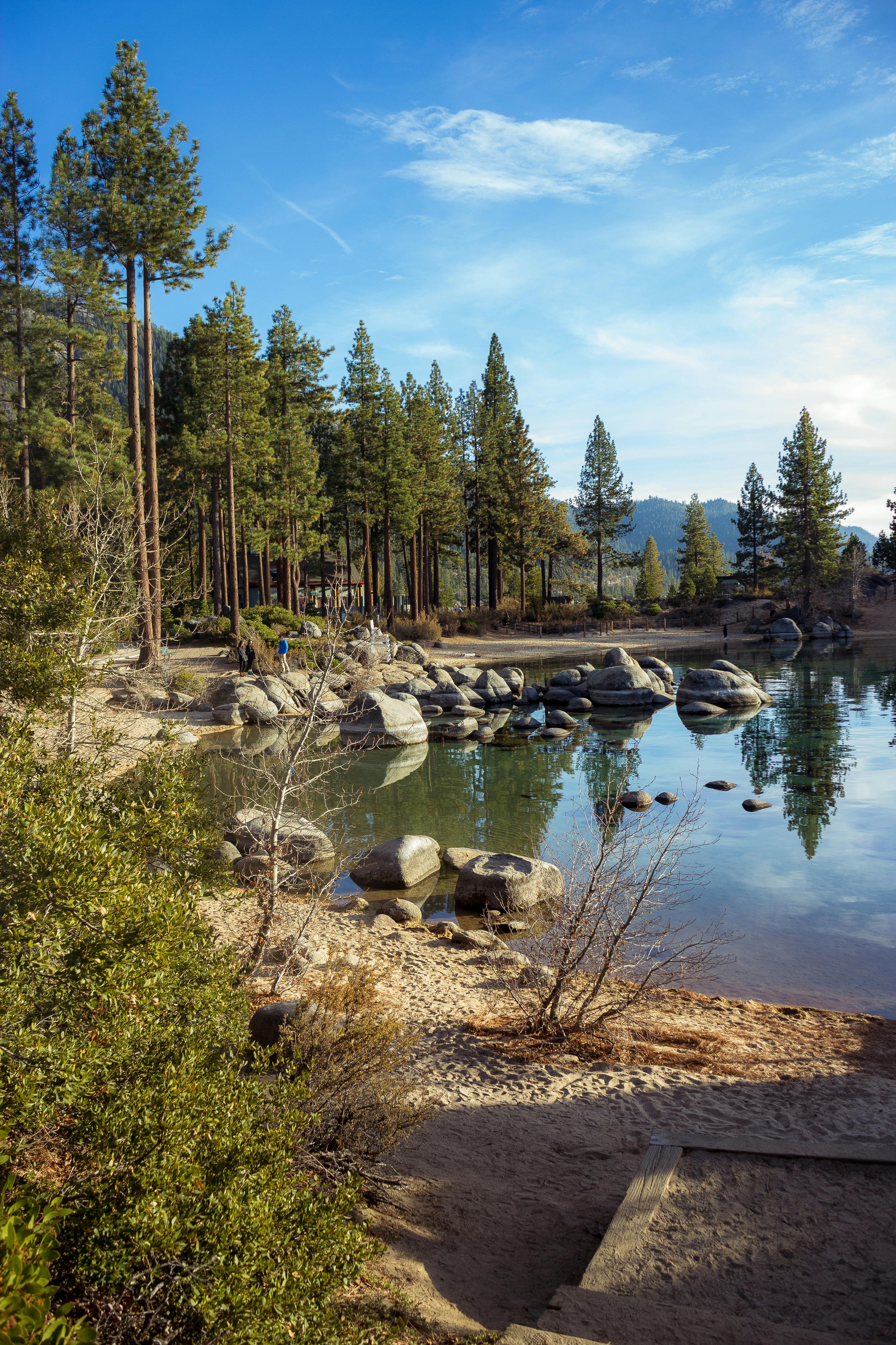 South Lake Tahoe with trees and stones during a sunny day.