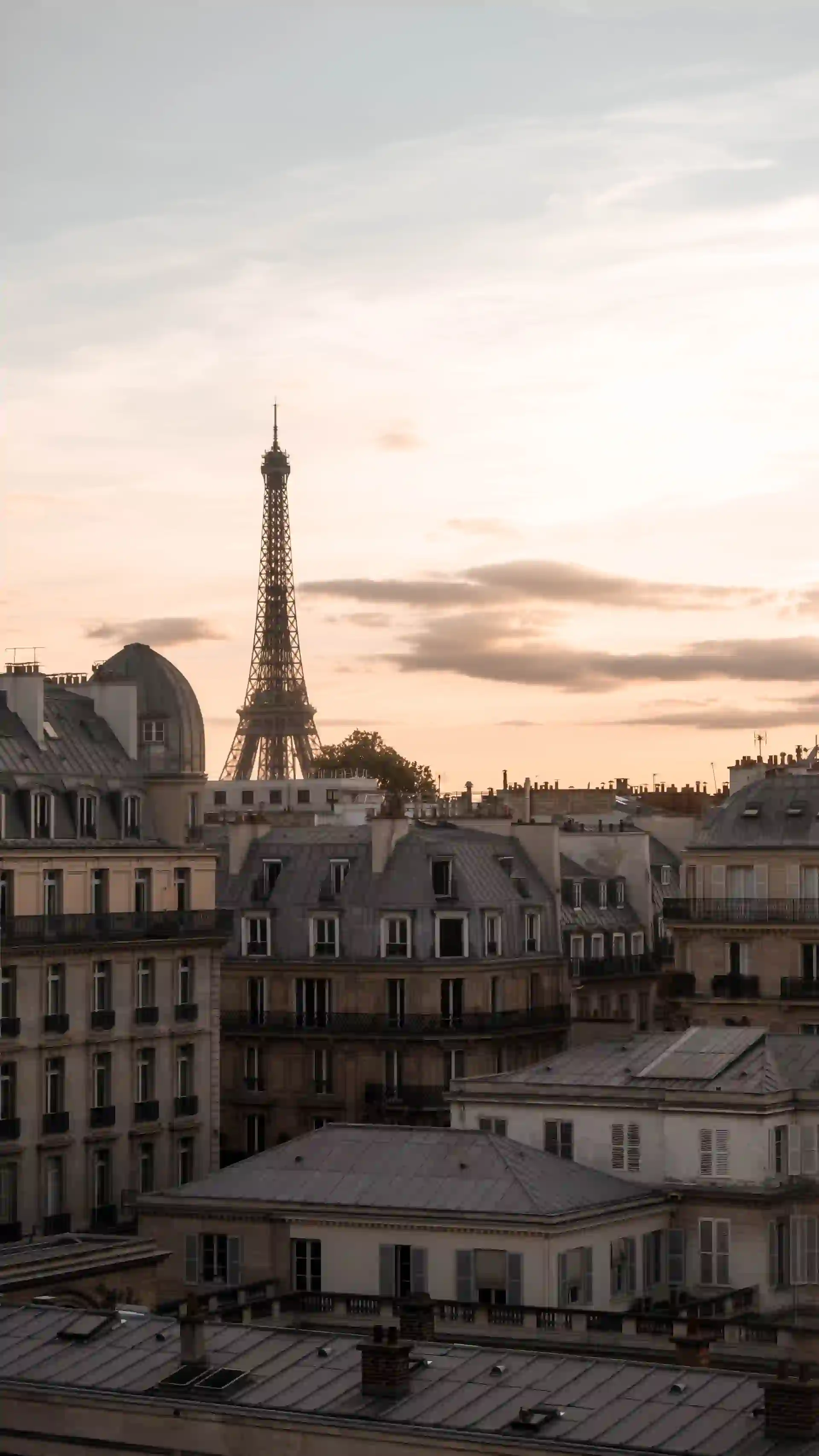 The Eiffel Tower during a sunset with in the front build in a neoclassical style.