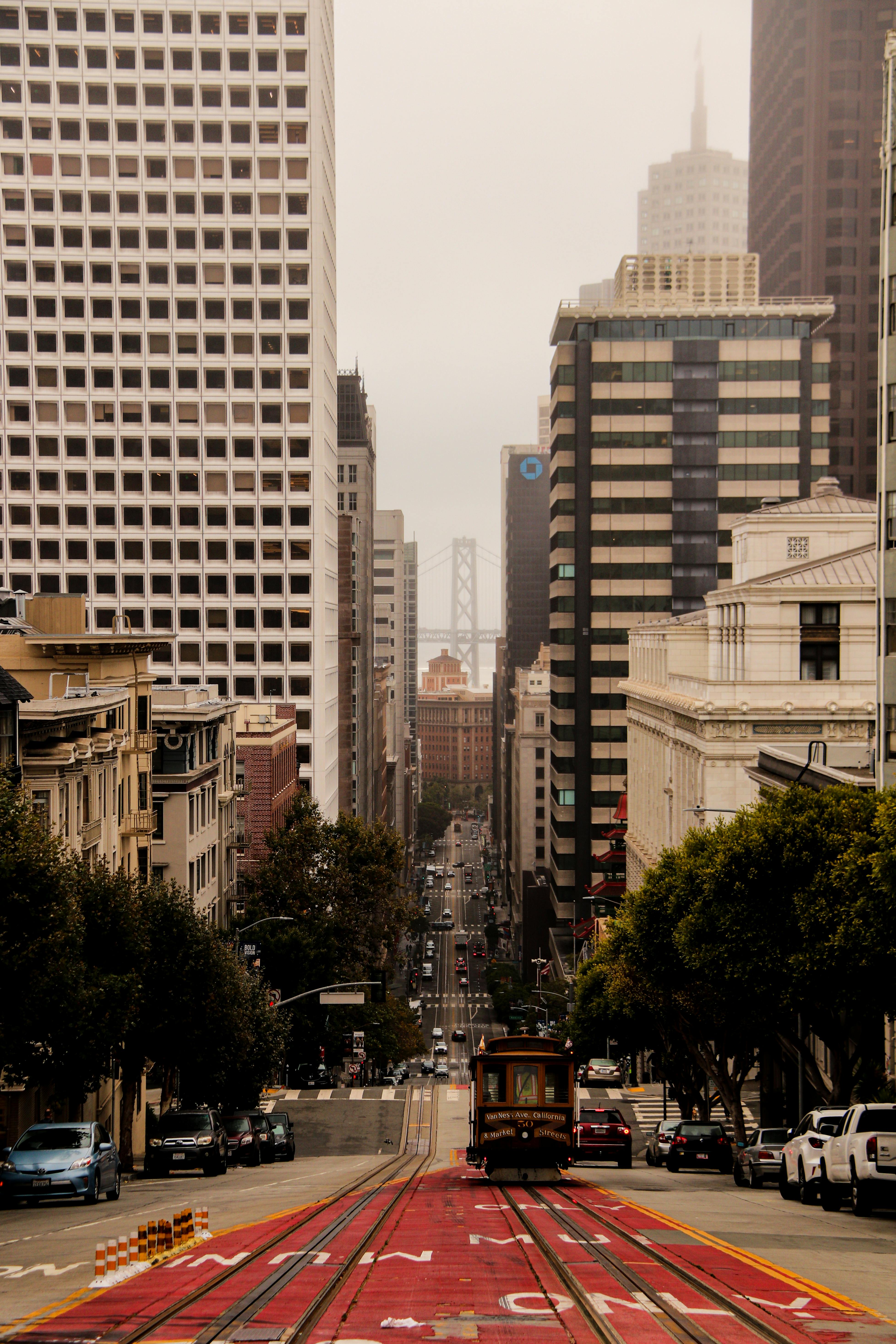 A red metro in San Frisco going downhill through highrise buildings with trees alongside the road.