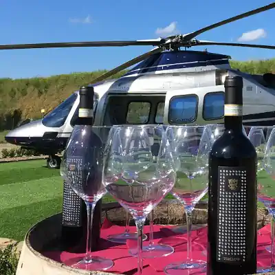 Helicopter landed on the ground for a private lunch and wine tasting.