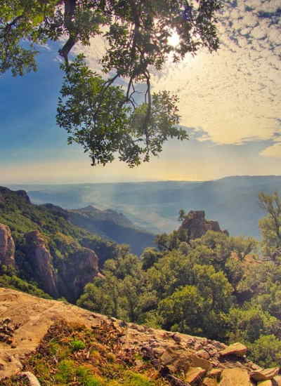 Aspromonte National Park.