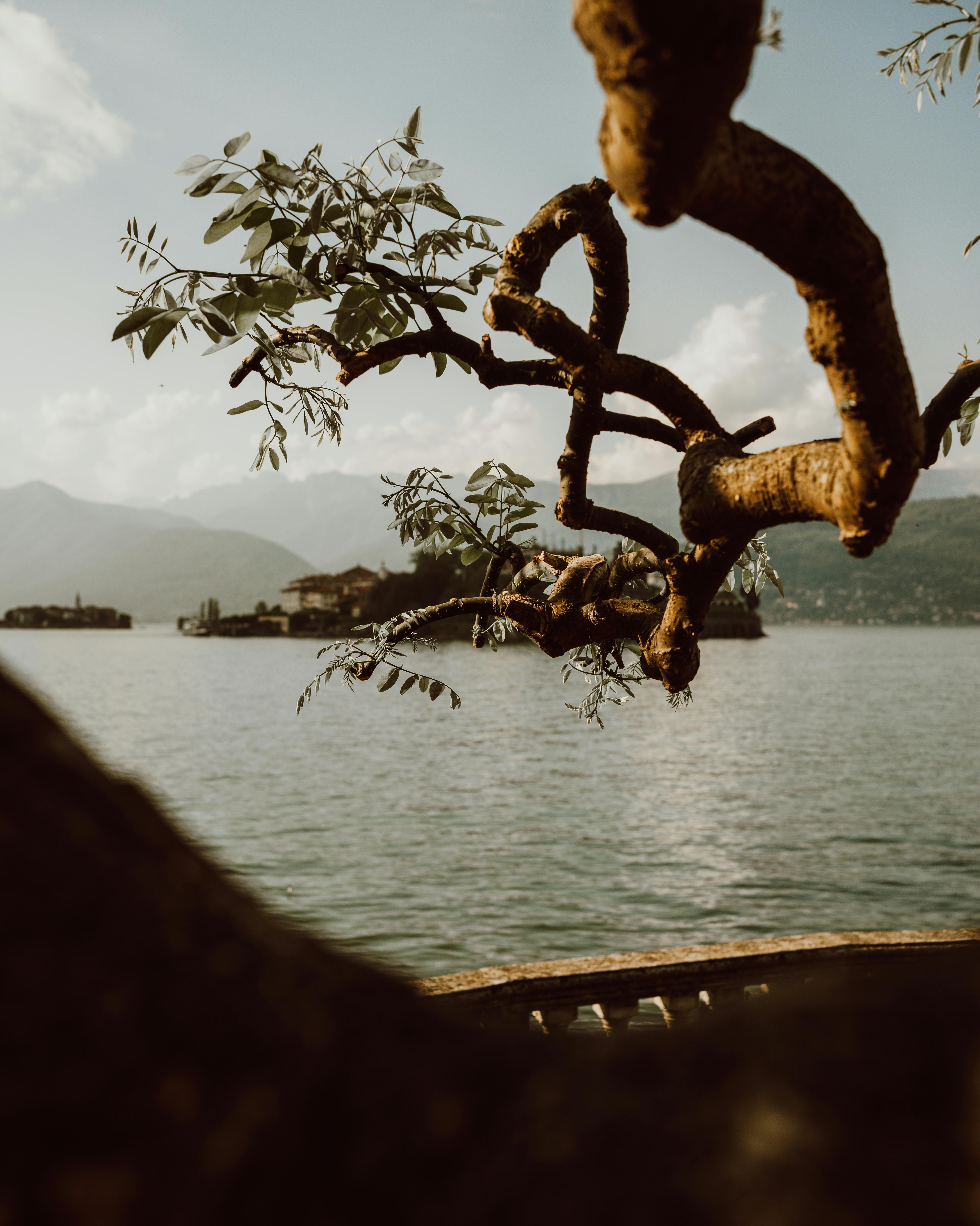 Lake Maggiore.