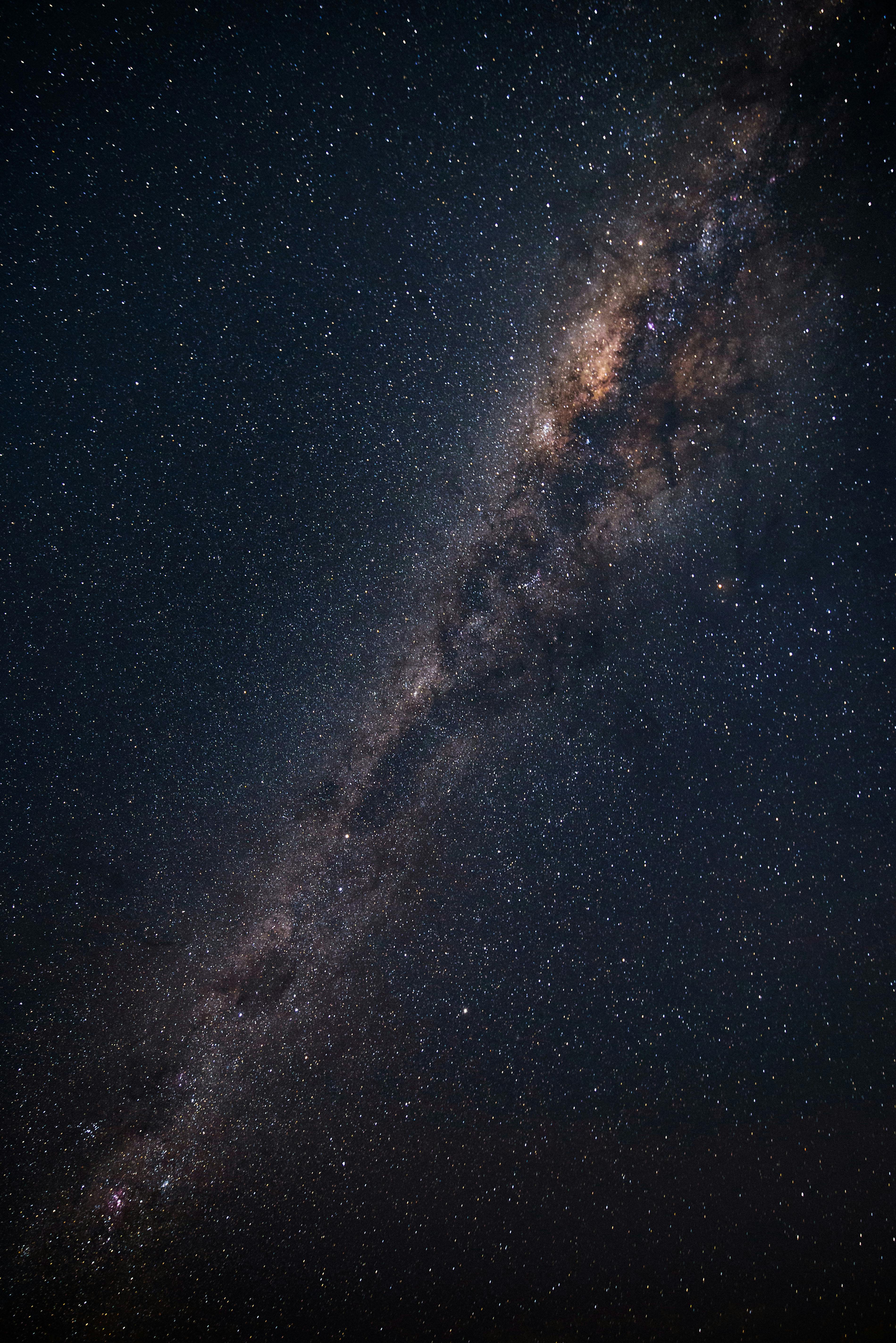 Stars.