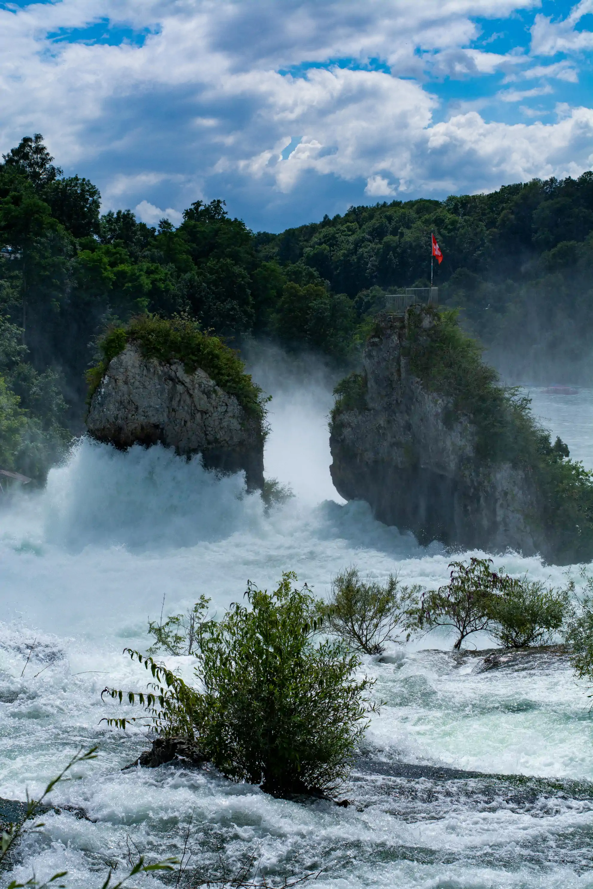 Rhine Falls