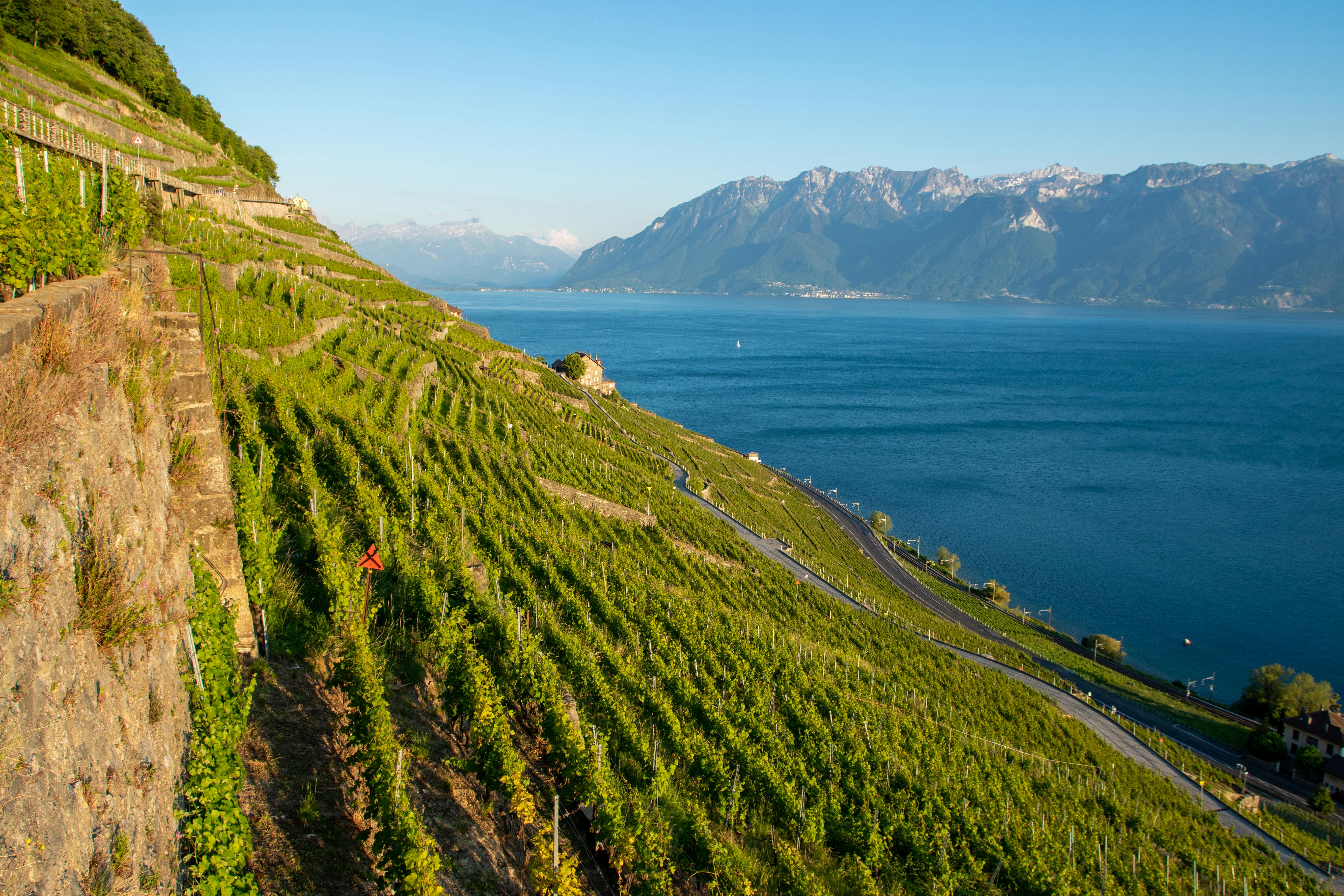 Lake Geneva