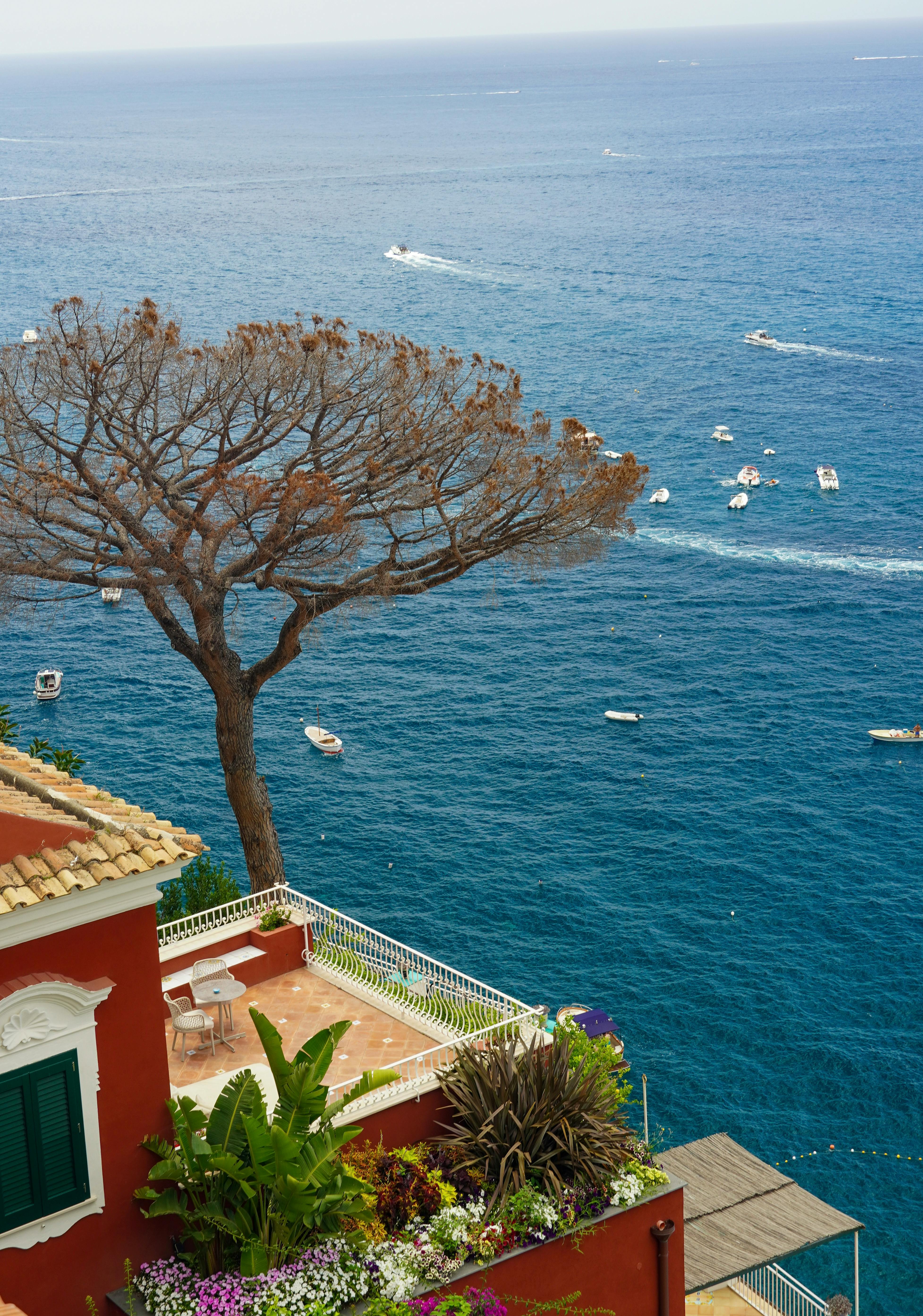 Mediterranean with a red house and a tree.