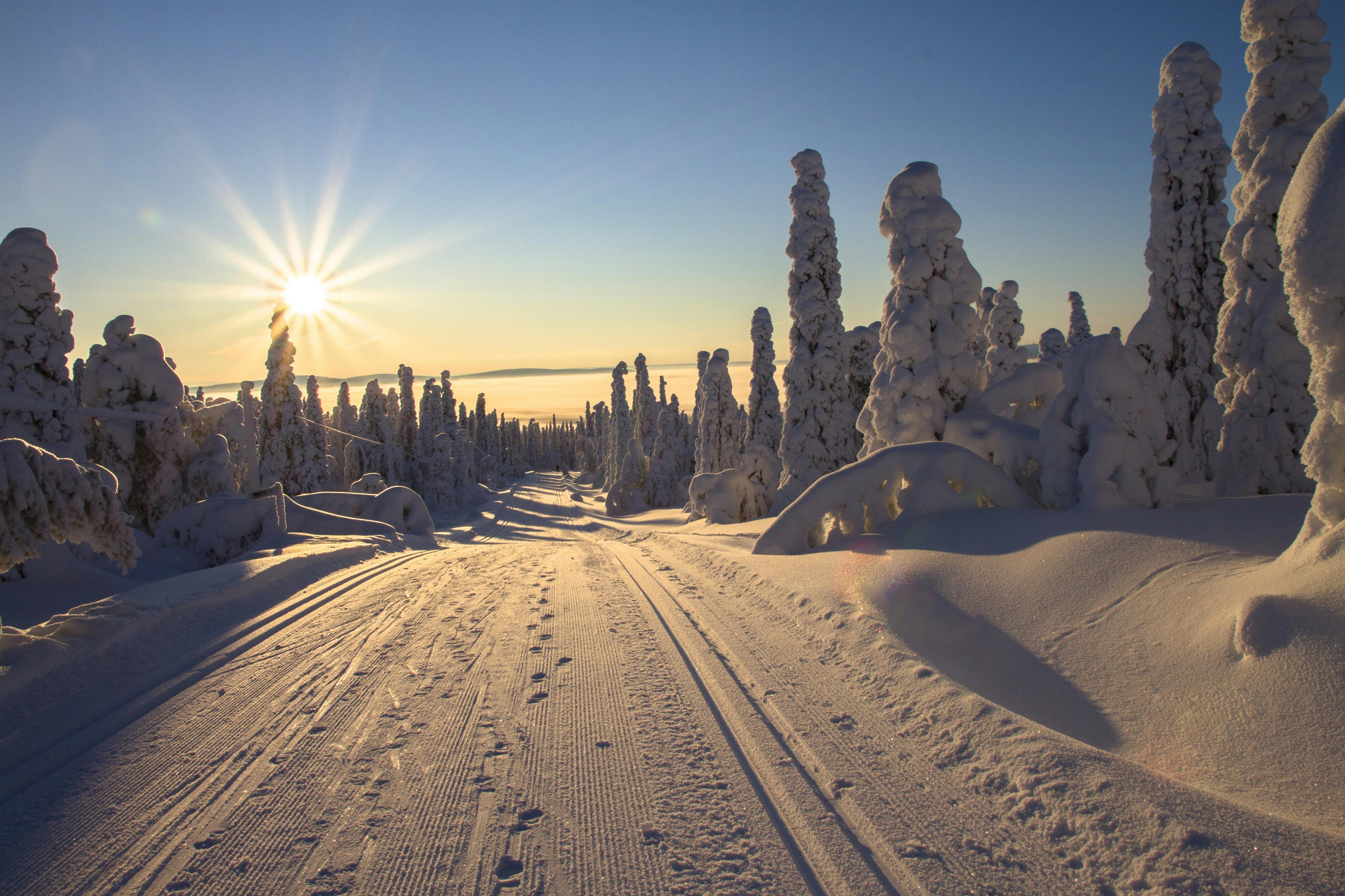 Finnish lapland during sunrise.