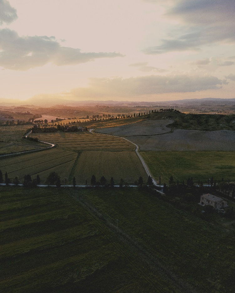 A view over the Tuscan country side in Italy during sunset.
