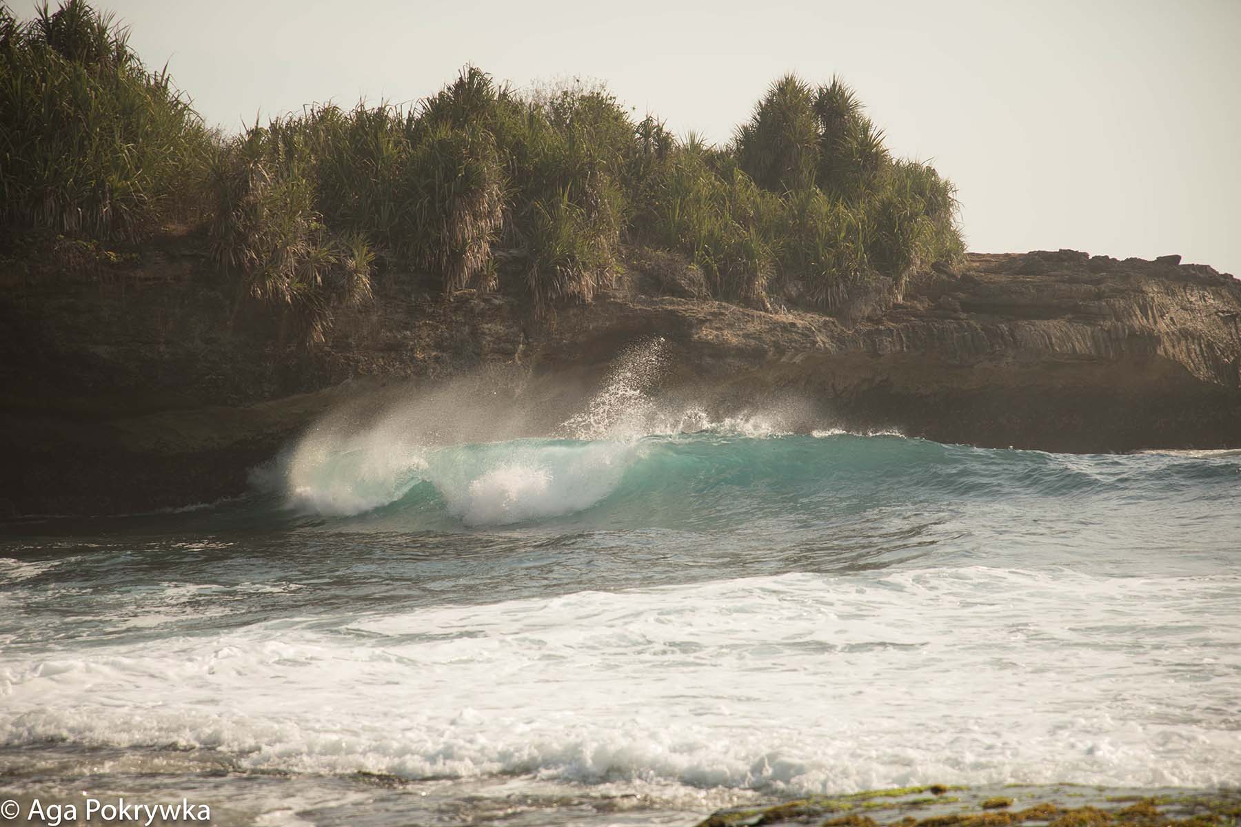 a sea wave