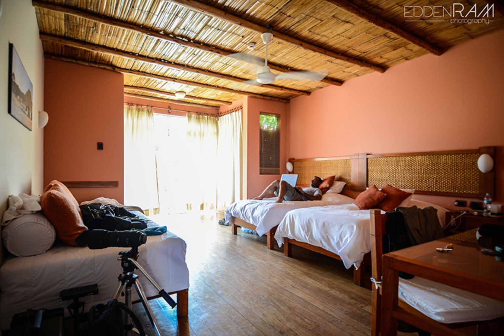 a room in a surf camp