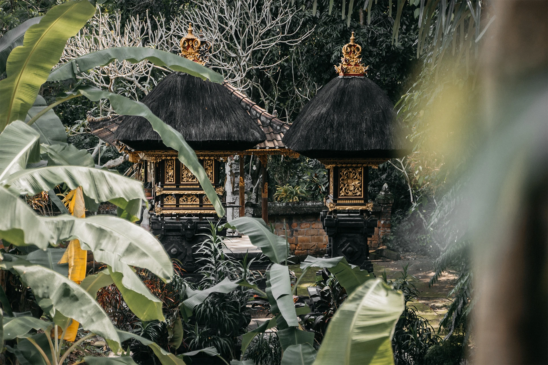 Swarga Blog Voyage Bali & Indonésie | Swarga Odyssey