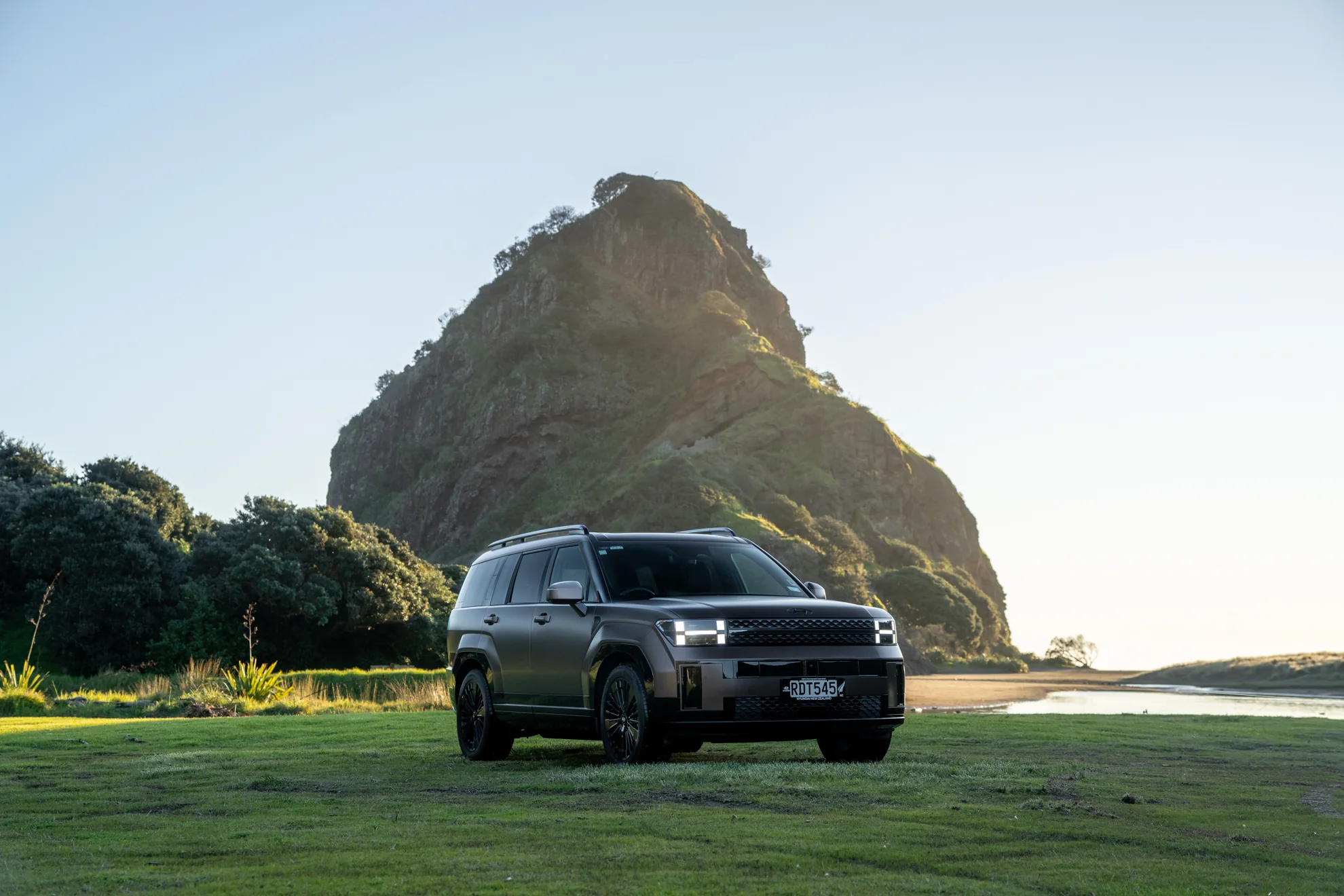 Hyundai Santa Fe parked on the grass near Lion Rock