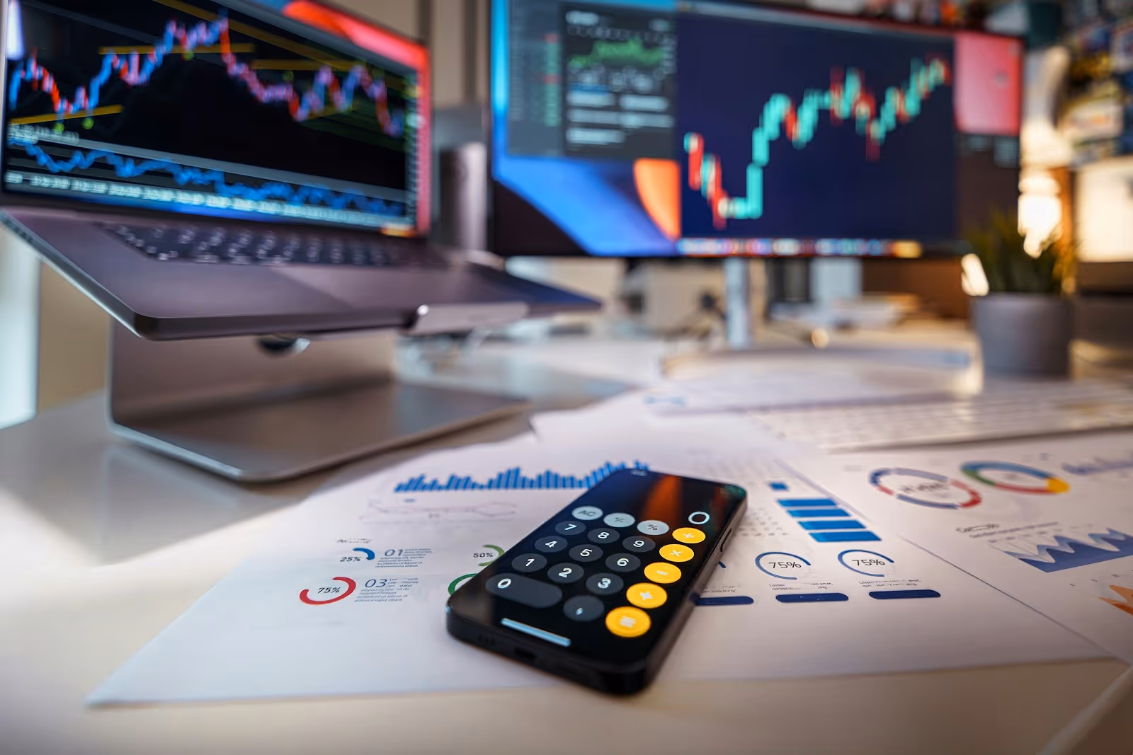 multi currency software