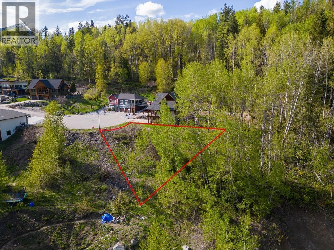 1021 Silvertip Road, frame 3