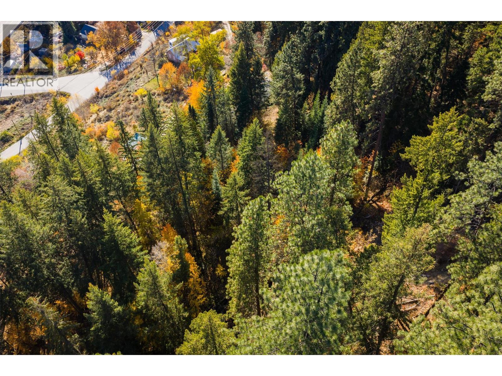 Ariel View of back yard acreage