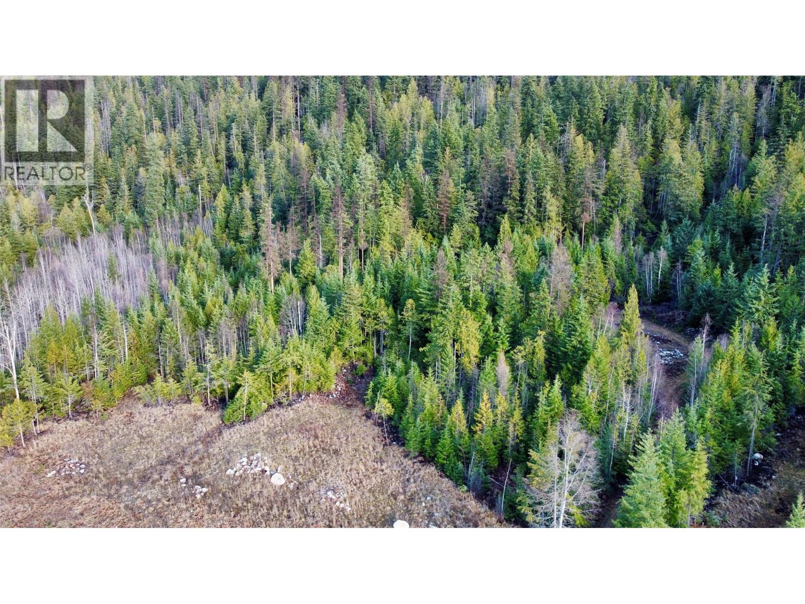 Middle clearing and some forest above it