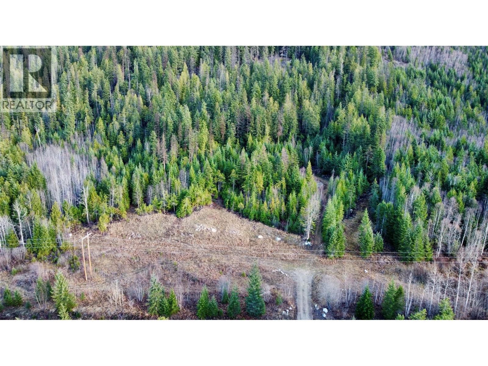 Forest above middle clearing