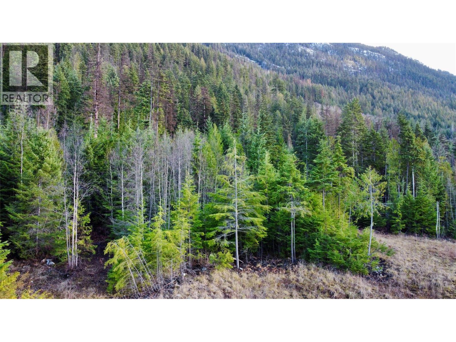 Middle property clearing looking East