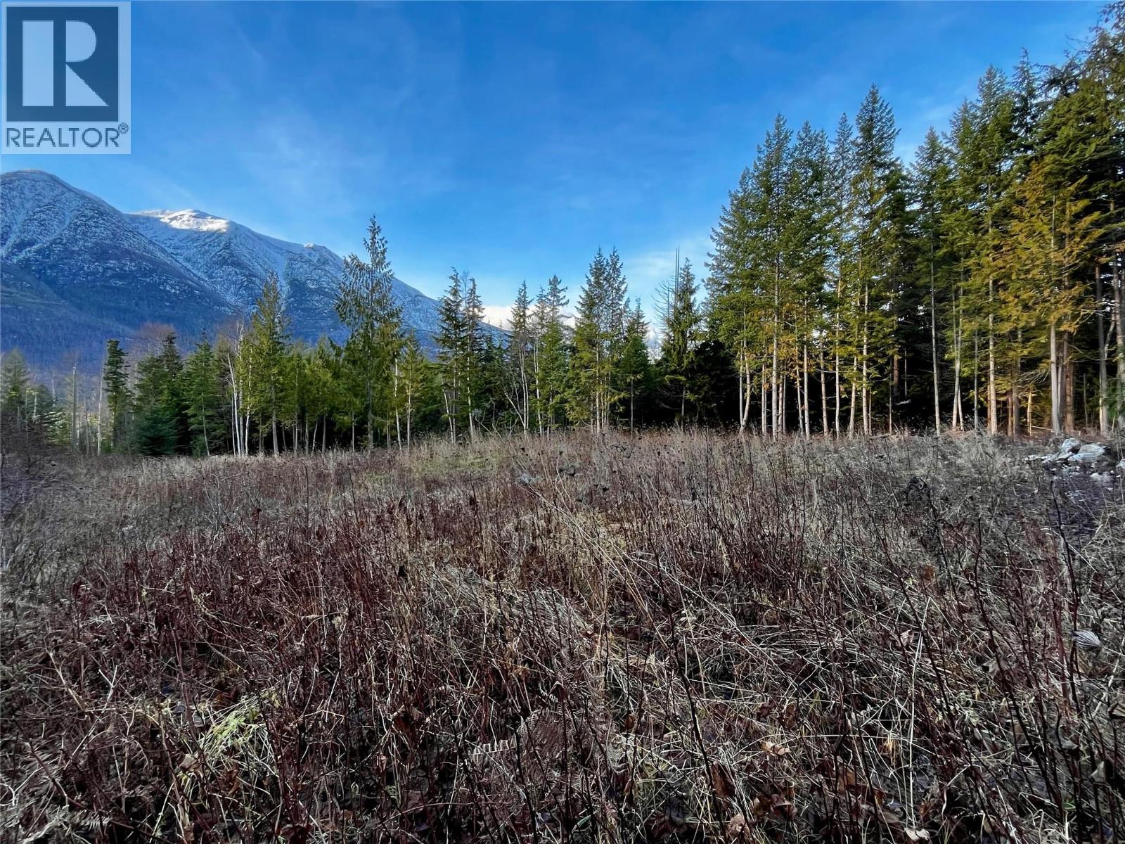 Lower property clearing looking West and Northwest