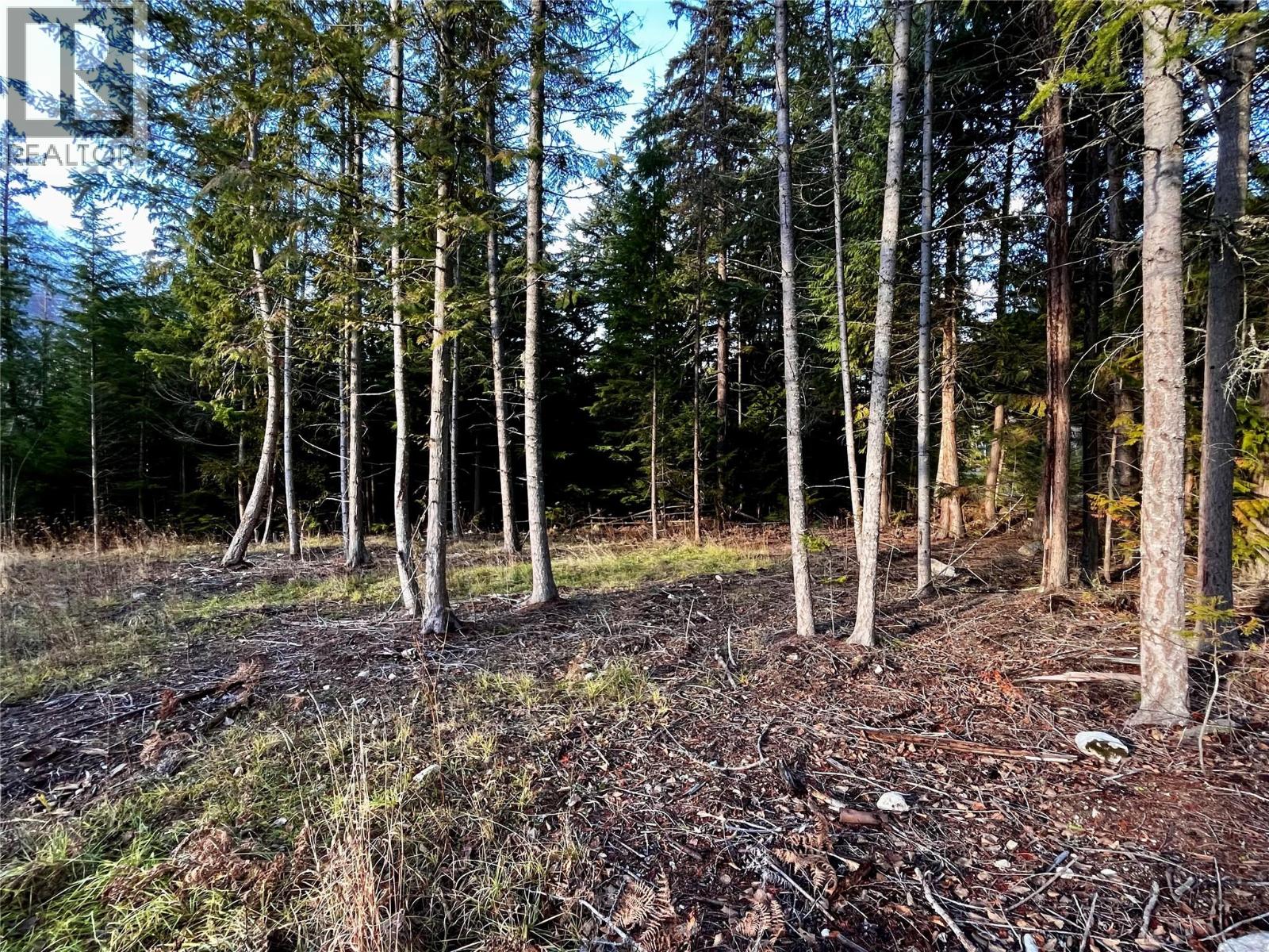 Lower property clearing looking North