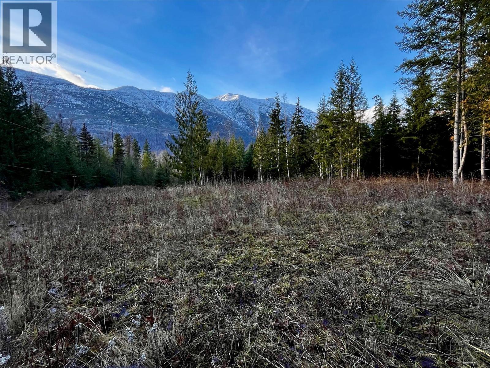 Lower property clearing looking West