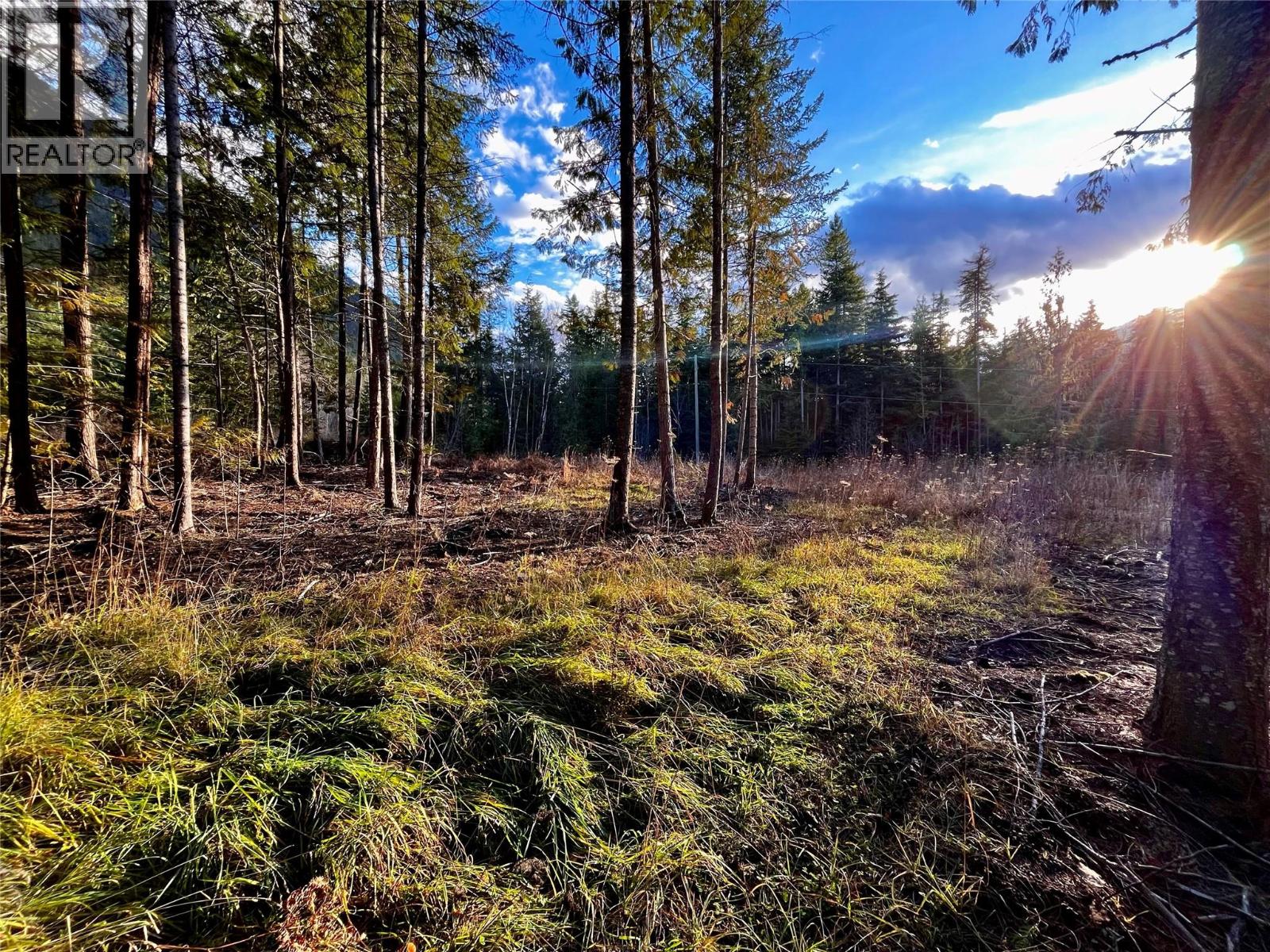 Lower property clearning looking South