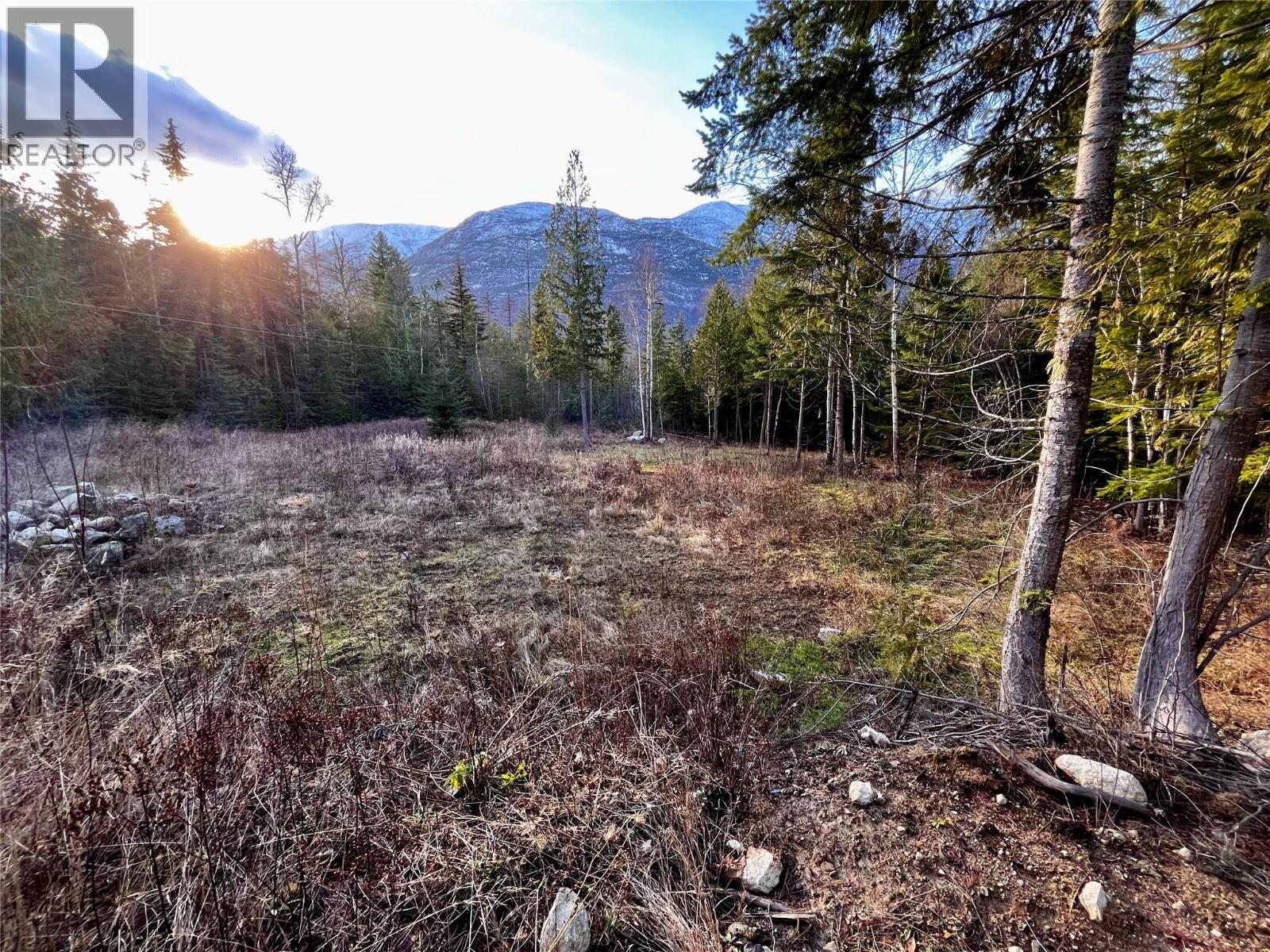 Lower property clearing looking West