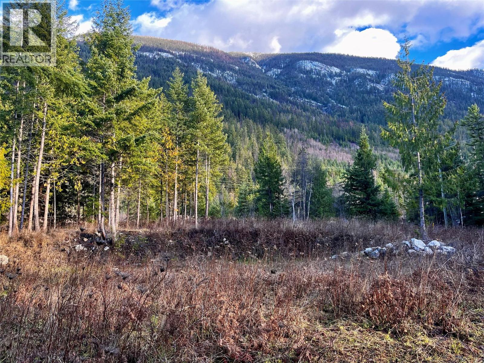 Lower property clearing looking East with different terraced elevations