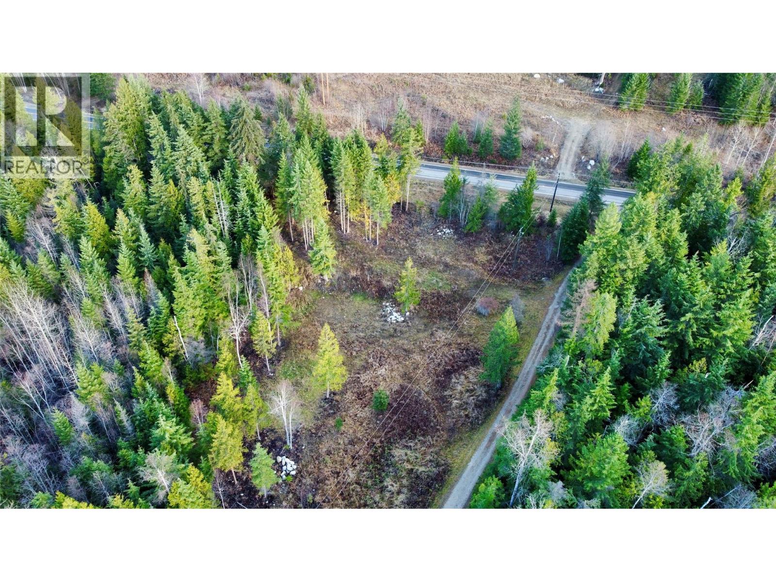 Lower property and easement driveway going to neighbour