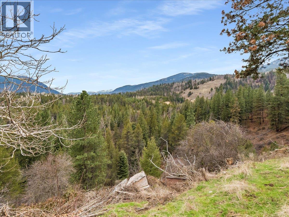 View from the backyard