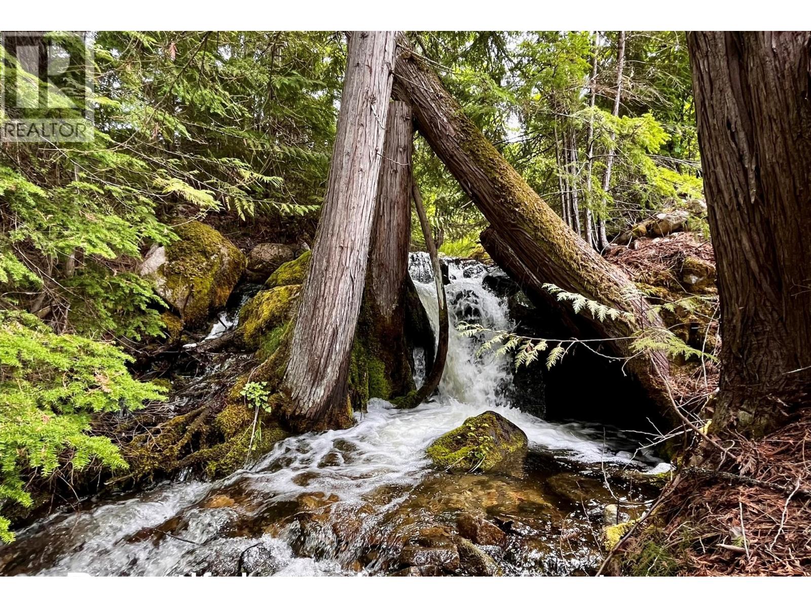 Lovesey creek up close on property