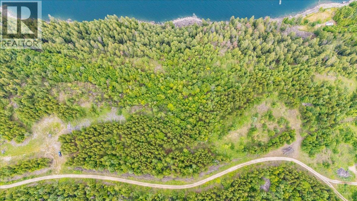 Lot 5 property lines FAN.  This picture is capturing 3-4? lots.  Lots 3,4,5,6 is estimated but not exact.