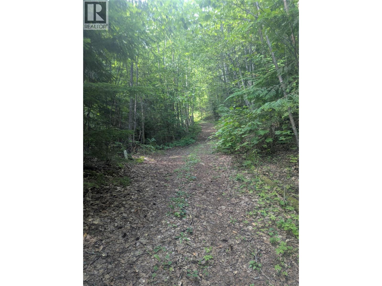 Road to Building SIte