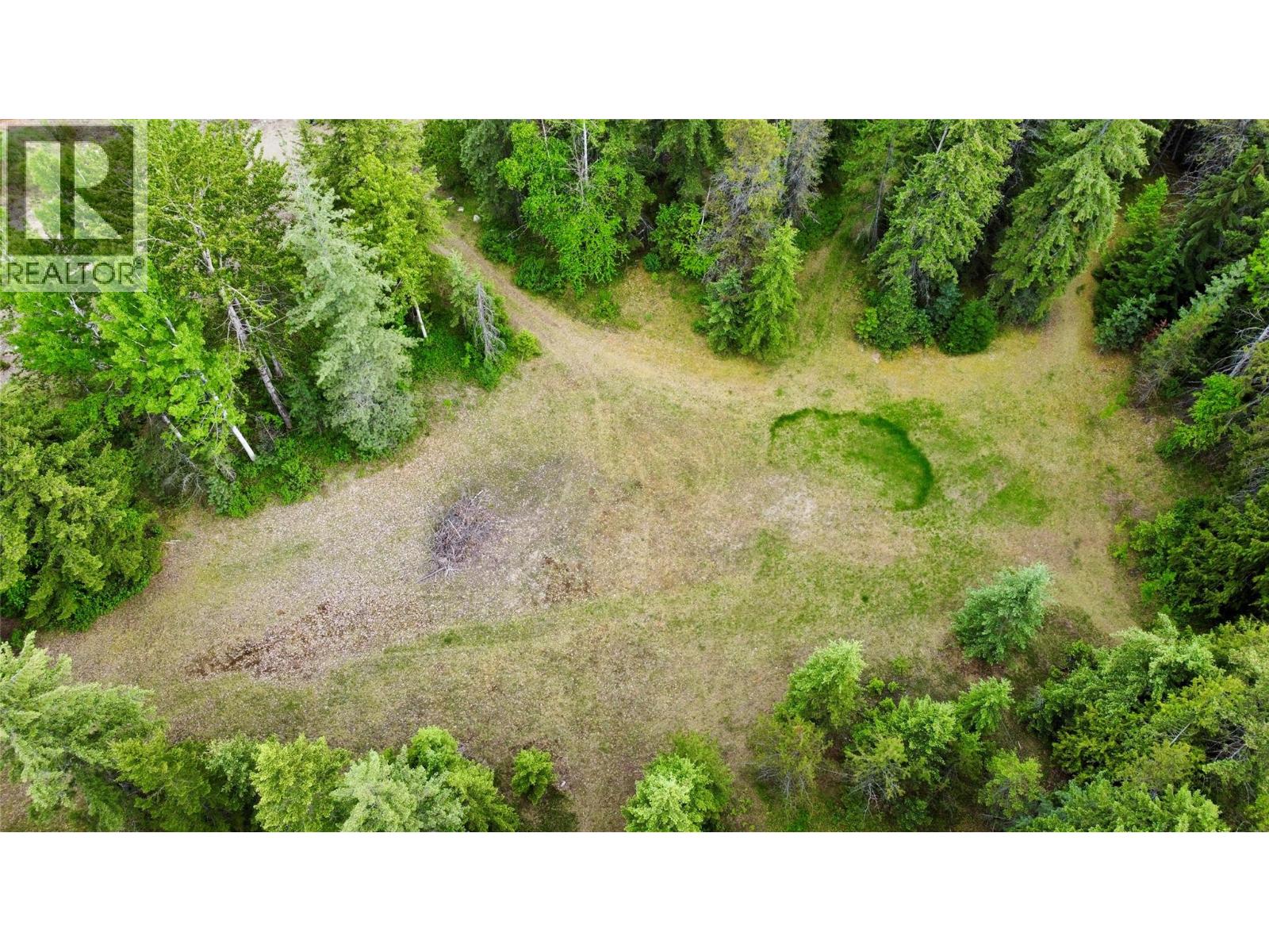 partial clearing in the centre