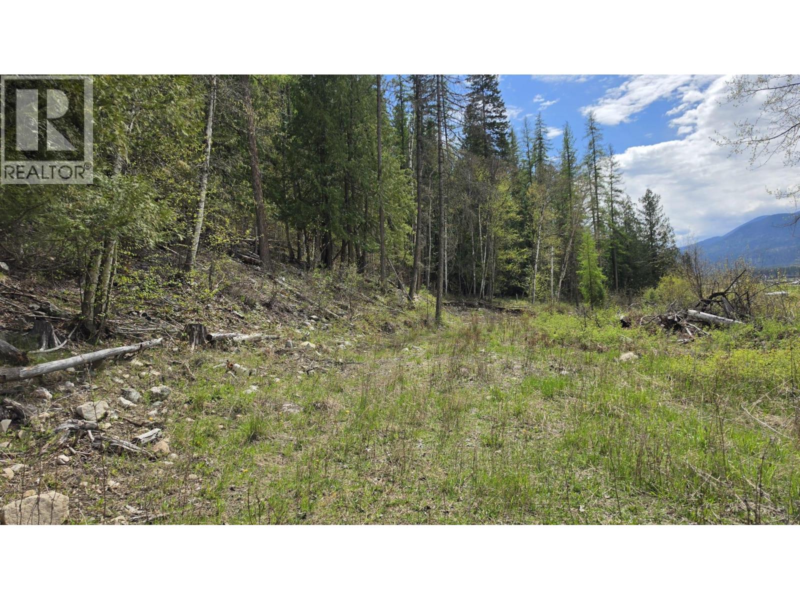 Future Build Site