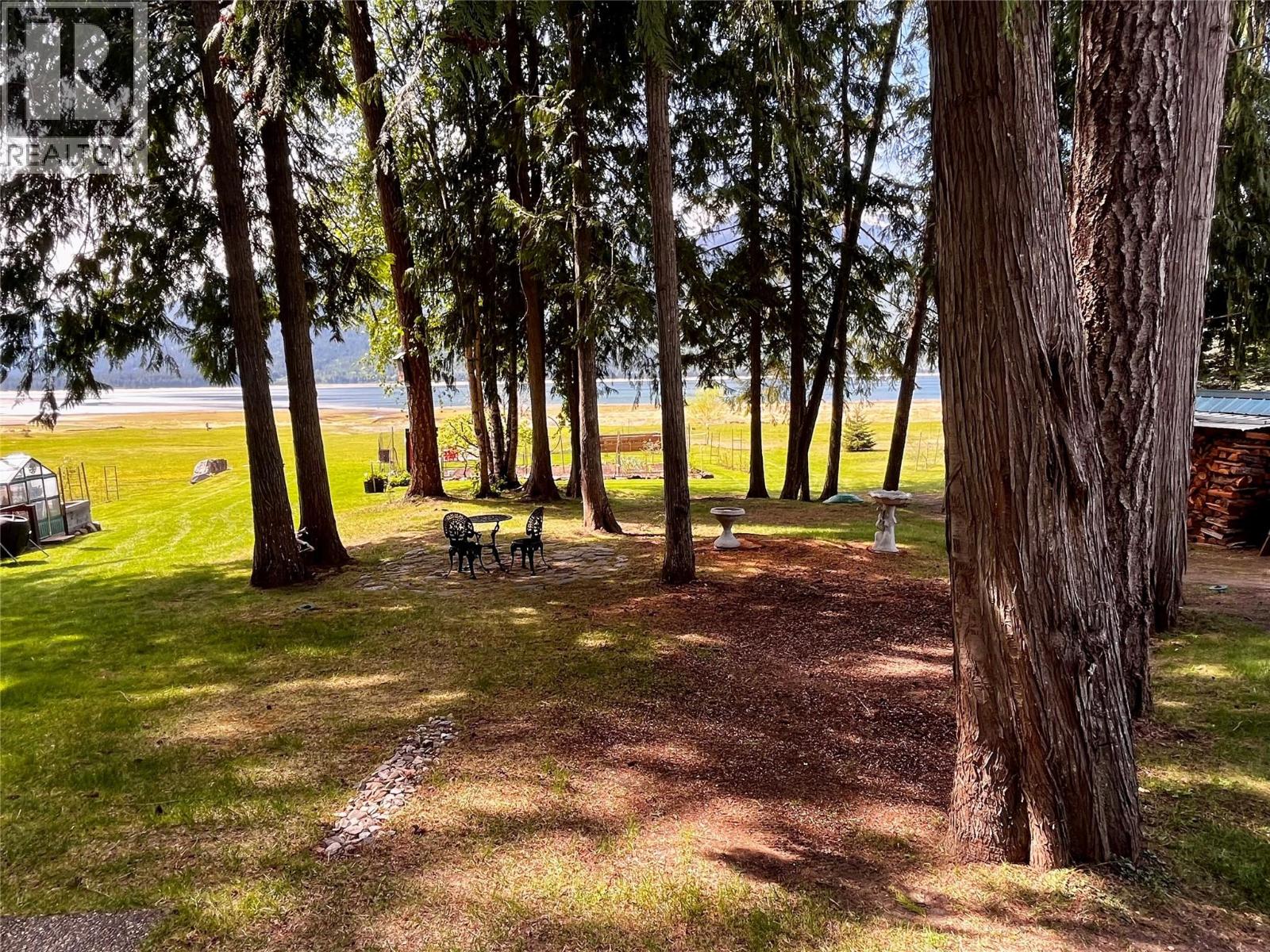 Cedar trees out front