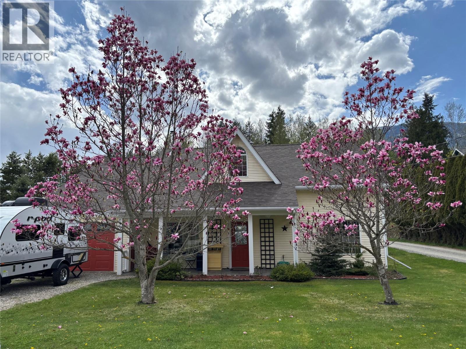 Beautiful mature magnolia trees in full spring bloom
