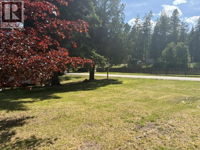 Beautiful Yard