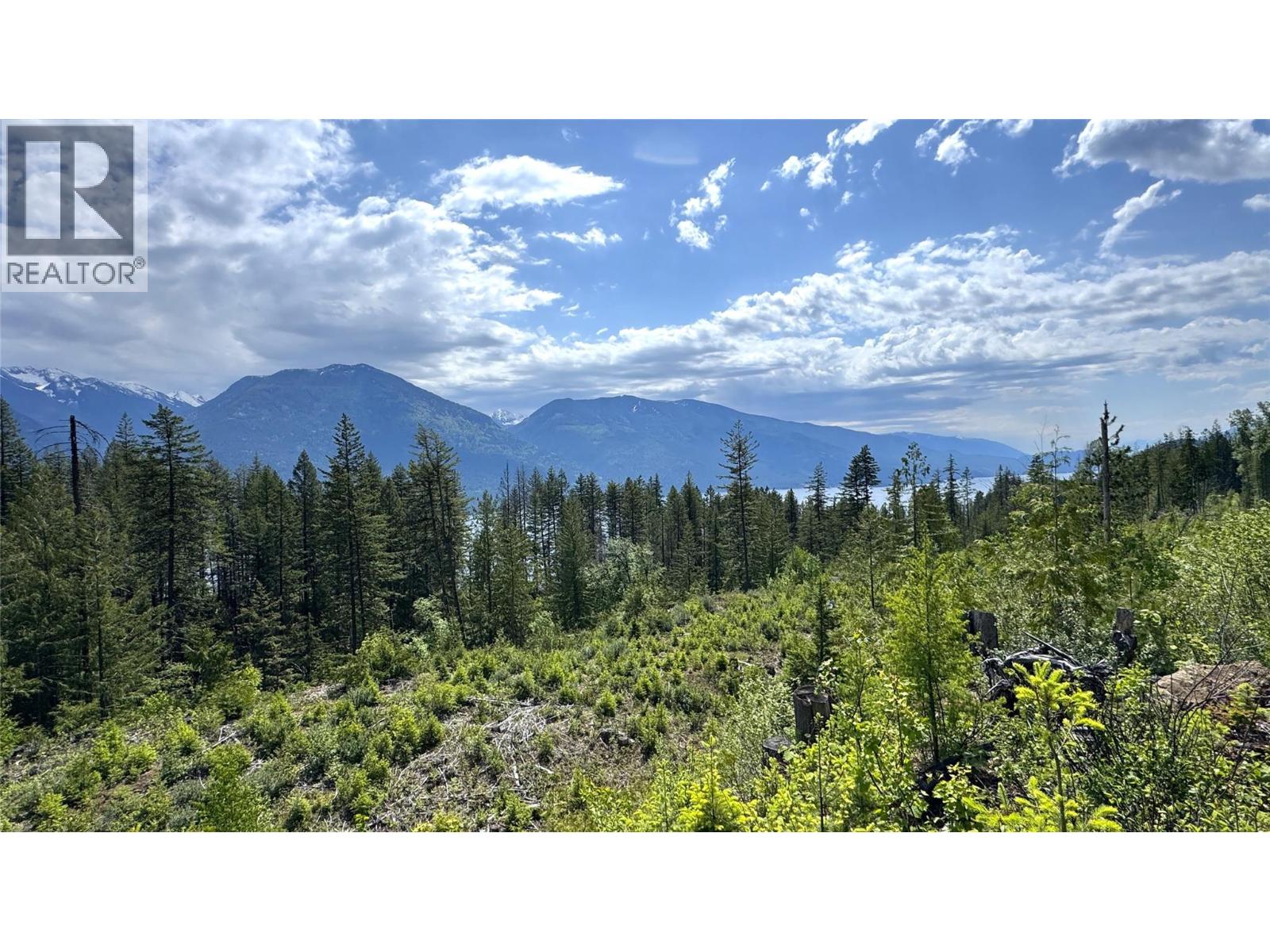 Views from the upper bench of the property