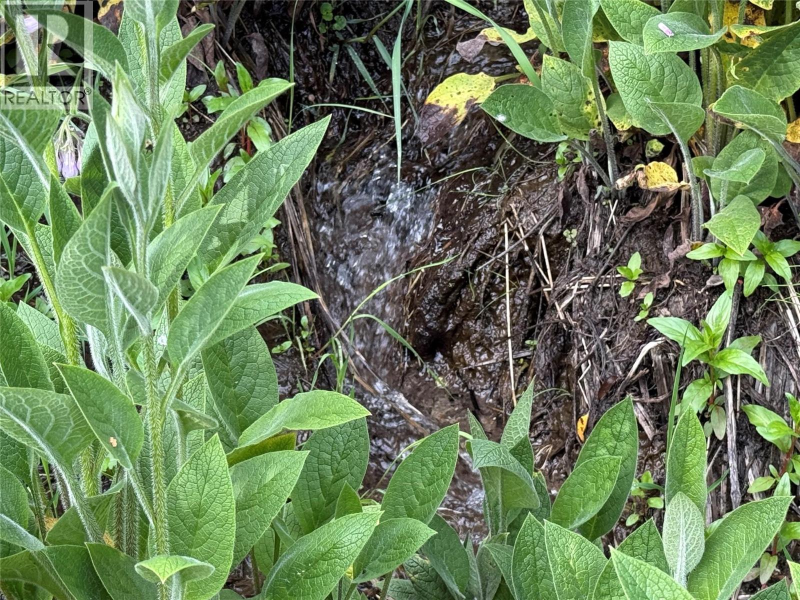Natural water spring