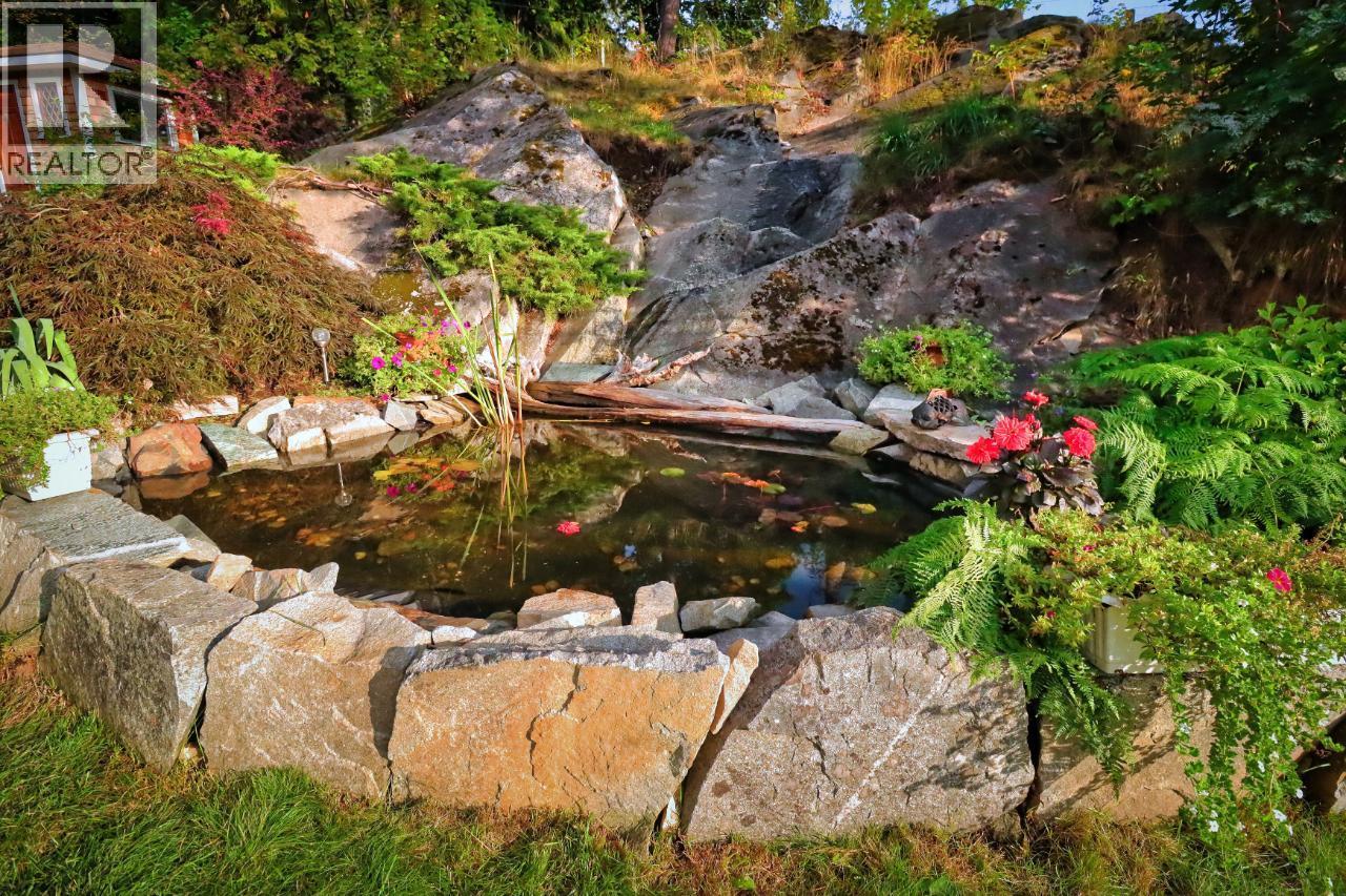 Pond needs a new liner