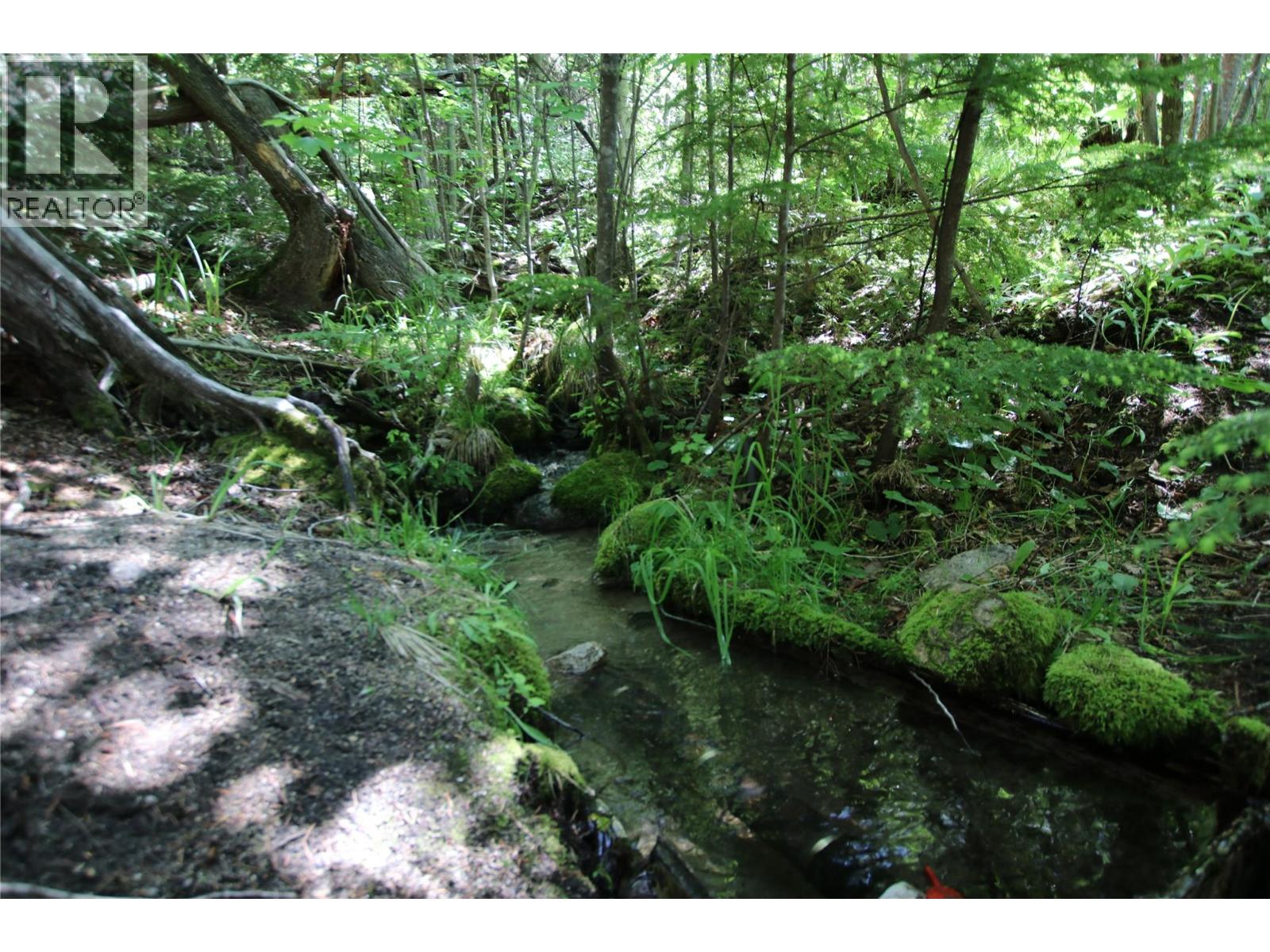 Stream on the property.