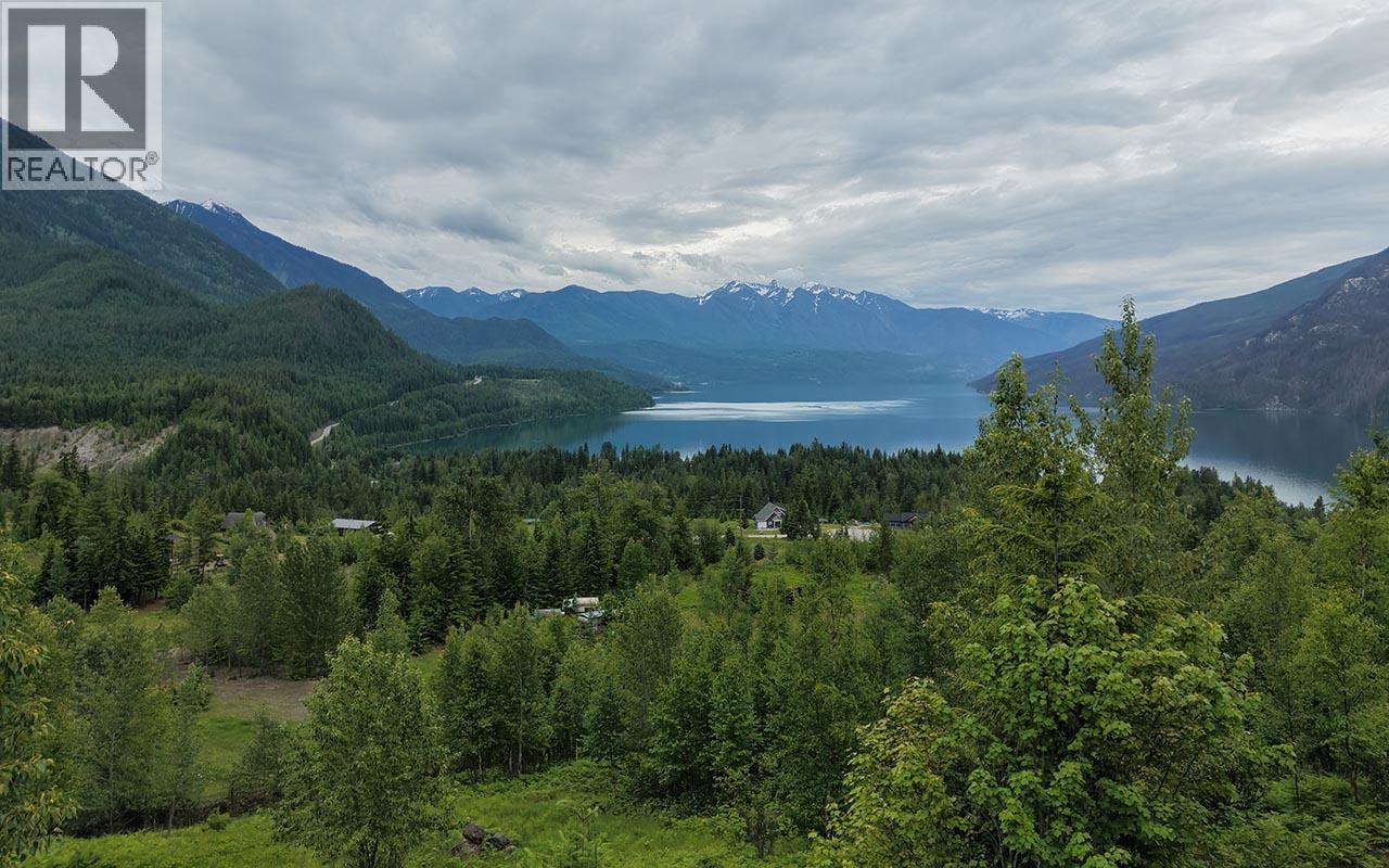 45 Acre development property with amazing views of pristine Slocan Lake.